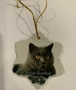 Britisch Kurzhaar Katze Porzellan Sternform Weihnachtsschmuck Neu - Bild 1 von 1
