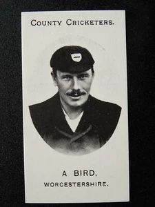 Worcestershire A. BIRD County Cricketers REPRO by Taddy & Co. 1907 - Picture 1 of 1