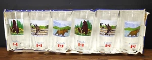 LOT of 6 Luminarc CANADA Tumbler Glasses 2 Each Moose, Bears, Canada Geese NEW! - Picture 1 of 8