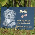 GRANIT Grabstein Tiergrabstein Gedenkstein Hund-G16 ► FOTO GRAVUR ◄ 20x15 cm