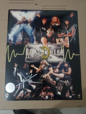 WWE WWF D GENERATION X DX CHYNA XPAC AUTÓGRAFO FIRMADO 8X10 FOTO PATIO AUTOMÁTICO Foto 1 de 3