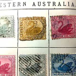 MMStampCo WESTERN AUSTRALIA stamp Queensland Used ex (45 Stamps) 2 Page nystamps - Picture 1 of 9