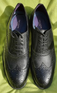 Ted Baker Leather Shoes products for 