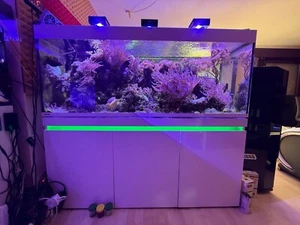 Eheim Incpiria 530 mit viel Zubehör - Bild 1 von 18