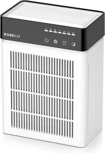 Portable HEPA Air Purifier with Oil Diffuser & Timer for Home, Office, Car - Picture 1 of 8