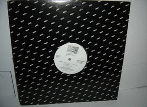 SKYWALK The Crossing Grandstand 12" WLP VG+ Plays Well 1986 Zebra L3317141 - Picture 1 of 1