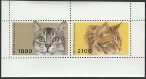 cats mint 672 - Picture 1 of 1