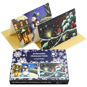 Juego de 10 tarjetas de Navidad - tarjetas de papel semilla plantable con sobres, A6 - Imagen 1 de 12