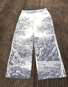 Albion Canvas Hose Gr. L Off White Blau Unisex W 32 I 28,5 Neu ohne Etikett Low Rise - Bild 1 von 13