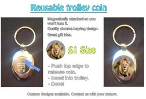 LLAVERO DE TOKEN DE CARRITO DE COMPRAS REUTILIZABLE £1 - GRAN IDEA DE REGALO - Imagen 1 de 1