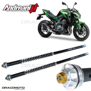 Kawasaki Z 900 2017-2024 Patrone ANDREANI 105/K21E MISANO EVO - Bild 1 von 5