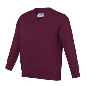 AWDis Academy Childrens/Kids Junior V Neck School Jumper/Sweatshirt (RW3925) - Picture 1 of 23