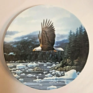 Eagles Robert Richert Misty Fjords Placa 1 America's Pride Series Birds of Prey - Imagen 1 de 9