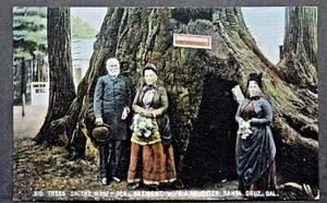 Santa Cruz CA General Fremont & Family in front of General Fremont Redwood - Picture 1 of 2