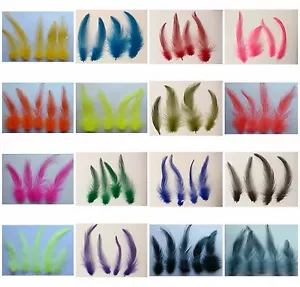 19 COLORI GALLO/COCK HACKLE 50 PIUME FLYNSCOTSMAN TACKLE SCIOLTO SENZA MANTELLO - Foto 1 di 49