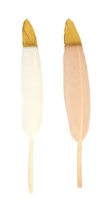 Piuma Bianca E Nuda Con Punta Dorata 14 Cm 24 Pezzi - Picture 1 of 1