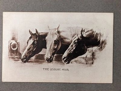 Famosa postal con foto de Sheahan--La hora libre--Caballos--*Envío gratuito* Foto 1 de 2