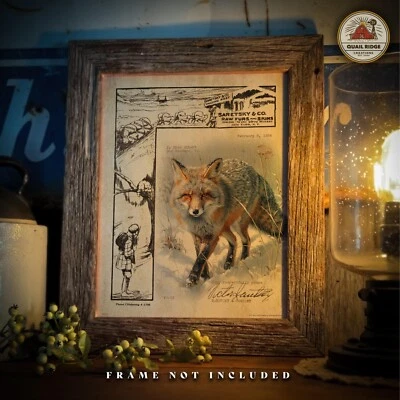 Vintage Fur Trapper Catalog Art Print Gray Fox Trapping Cabin Artwork Decor Gift - Image 1 of 4
