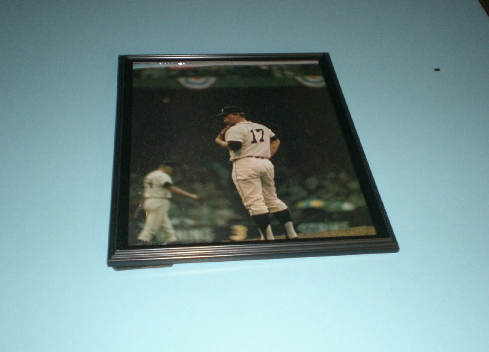 Tigres Denny Mclain 1968 impresión enmarcada serie mundial Foto 1 de 1