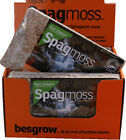 Super Compressed Sphagnum Moss.  For Orchids, Amphibians, Reptiles, Topiary&More