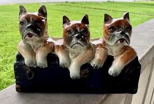 Vintage Ceramic Bulldog Trio in a Steamer Trunk Dog Figurine Holder Organizer - Picture 1 of 9