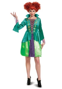 Wini Sanderson Classic ADULT Womens Costume NEW Hocus Pocus - Picture 1 of 3