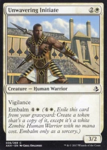 INQUEBRANTABLE INICIATE 036/269 AMONKHET MTG MAGIC CASI NUEVO - Imagen 1 de 1