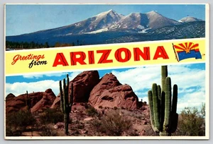 Cartolina Saluti dall'Arizona Banner Card Paesaggio Deserto Cactus - Foto 1 di 2