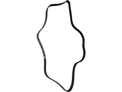 Cinturón multi costilla para Chevrolet Prizm 1998-2002 49867NY 1999 2000 2001 1,8 L 4 cilindros Foto 1 de 2