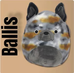 Squishmallow 12" Ballis Bulldog Soft Brindle Puppy Pet Plush BNWT Free Ship - Picture 1 of 7