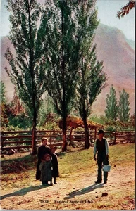 Pastoral Scenic View In Utah Vintage Souvenir Postcard - Picture 1 of 2