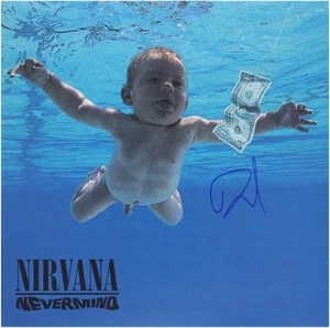 Álbum Nevermind autografiado por Dave Grohl Nirvana - BAS - Imagen 1 de 1