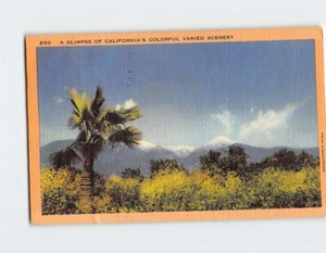 Postcard A Glimpse Of Californias Colorful Varied Scenery California USA - Picture 1 of 2