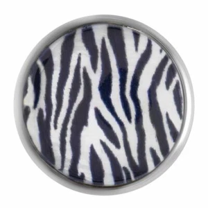 Ginger Snaps White Animal Shell Snap - Picture 1 of 1