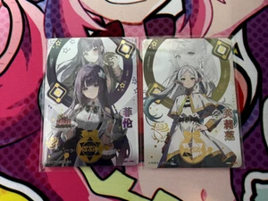 Frieren & Fern - Beyond Journey's End - SSR Holo Anime Waifu Card Set ACG - Picture 1 of 5