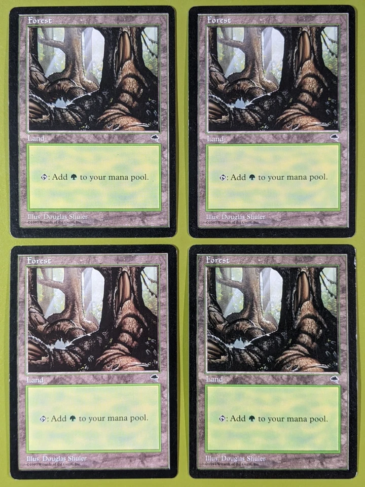 Forest (Pond) x4 Tempest 4x Magic the Gathering MTG - Image 1 of 1