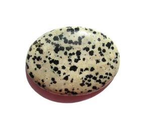 Dalmatiner Jaspis Jasper Cabochon 44,2 x 32,4 mm 84 ct. Nr. U11912 - Bild 1 von 1