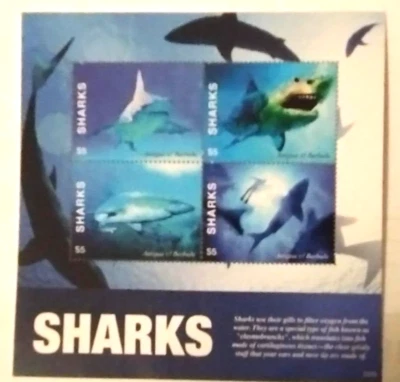 Antiqua. 2022. MNH. Sharks. Souvenir Sheet of 4. sal's stamp store. - Image 1 of 3