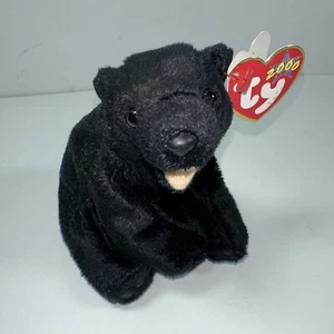 Cinders 2000 TY Beanie Babies Sitting Stuffed Plush Black Bear And Beanie - Picture 1 of 8