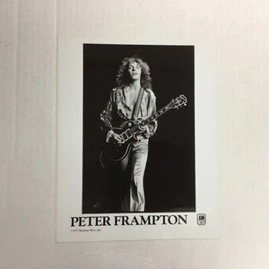 Peter Frampton Pressefoto 1977 ORIGINAL A&M Records  - Bild 1 von 2