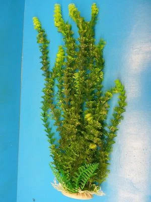 ATLANTIS AQUARIUM & PET SUPPLY PLASTIC PLANT 925432Y AQUARIUM 18" H x 7" W HEAVY BASE FRESH / SALTWATER