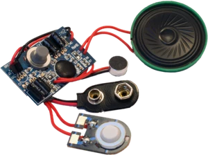 BRC-09PR 20 Second recording module with 9V battery Connector - Picture 1 of 3