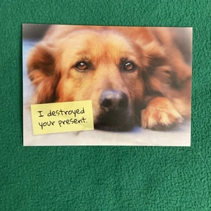 CLOSEOUT-Birthday Greeting Card “I Destroyed Your Present…” - Picture 1 of 4