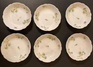 "6 cuencos de bayas festoneadas florales de 5 1/2"" H&Co L FRANCE HAVILAND LIMOGES raros del siglo 1800" - Imagen 1 de 9