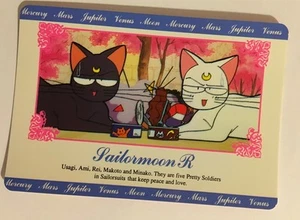 Sailor Moon R Hero Collection 45 - Imagen 1 de 1