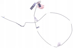 Antena WIFI HP EliteBook 1030 G3 1030G3_WWANAUXP1 - Zdjęcie 1 z 2