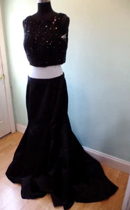 SHERRI HILL TALLA 12 2 PIEZAS FORMAL LENTEJUELAS/CONCURSO/VESTIDO DE FIESTA/VESTIDO DE GRADUACIÓN *NECESITA TLC - Imagen 1 de 16