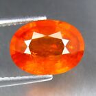 3.45 Ct 10.5X7.80 Mm Oval Impressive Natural Fanta Orange Spessartite Garnet