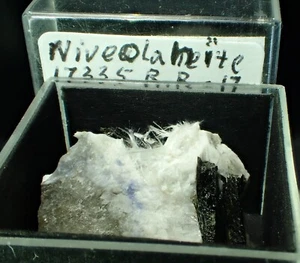 RARE RICH NIVEOLANITE Crystals Fine Mineral Specimen Mont Saint Hilaire QC CA - Picture 1 of 4