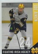 2013-14 Notre Dame Fighting Irish (NCAA) Joe Aiken